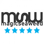 meteo Magic Seaweed Cádiz